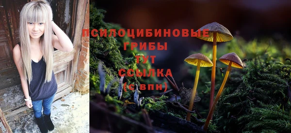 прущий лед Коряжма