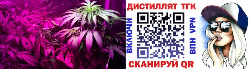 Купить  Георгиевск  ТГК THC oil 