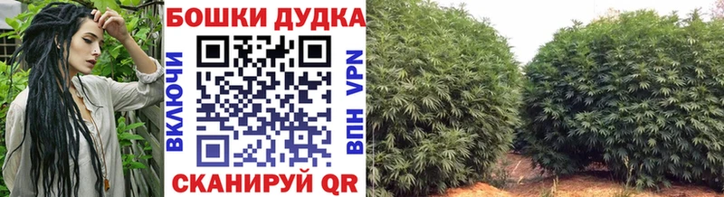 Купить где  Георгиевск  Бошки Шишки Bruce Banner 